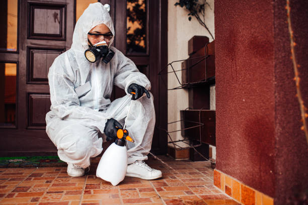 Reliable Mosquito Control contractor in Gleneagle, CO by Show Me Pest Control
